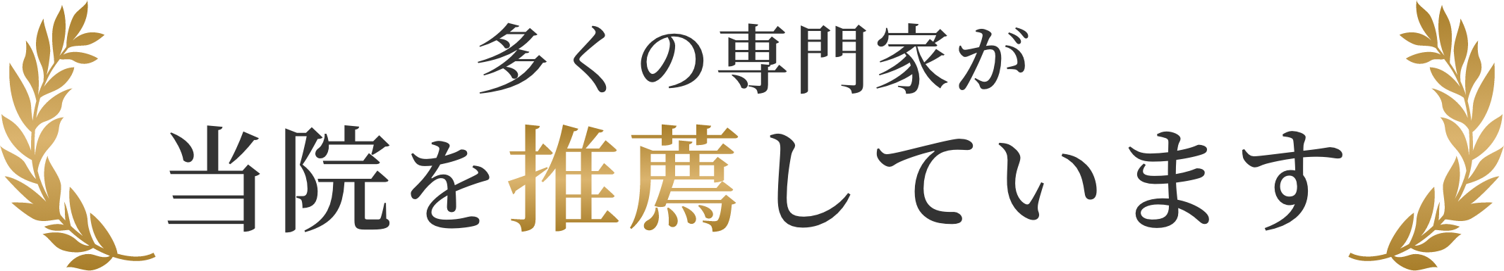 多くの専門家が当院を推薦しています